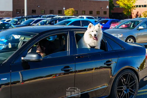 2024 ForestCity Cars & Coffee Closer photo 8