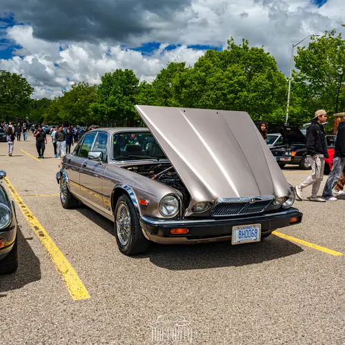 2025 Forest City C&C Opener photo 305